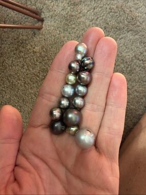 Loose drilled Tahitian black pearls (14)